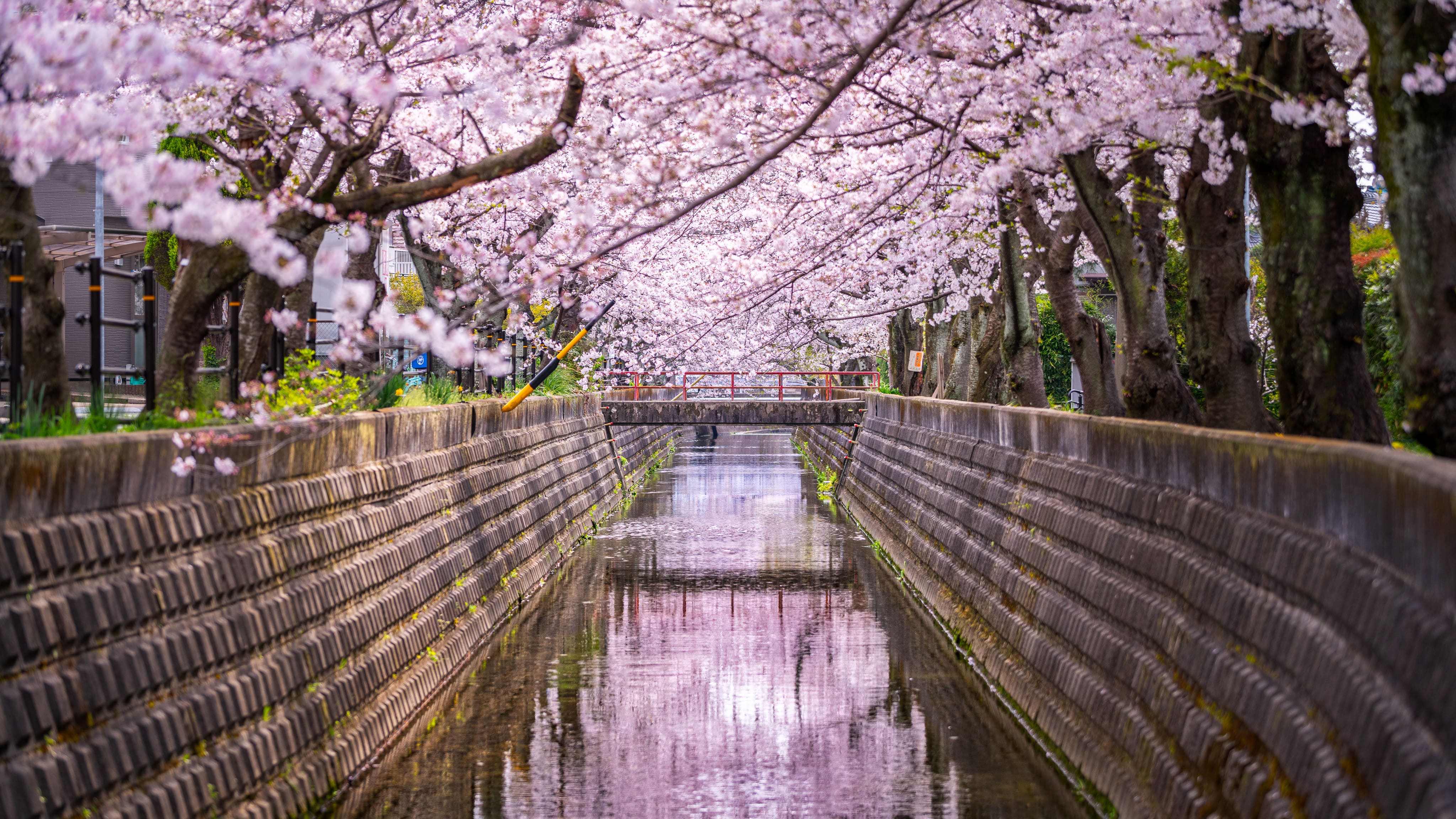 風景写真2