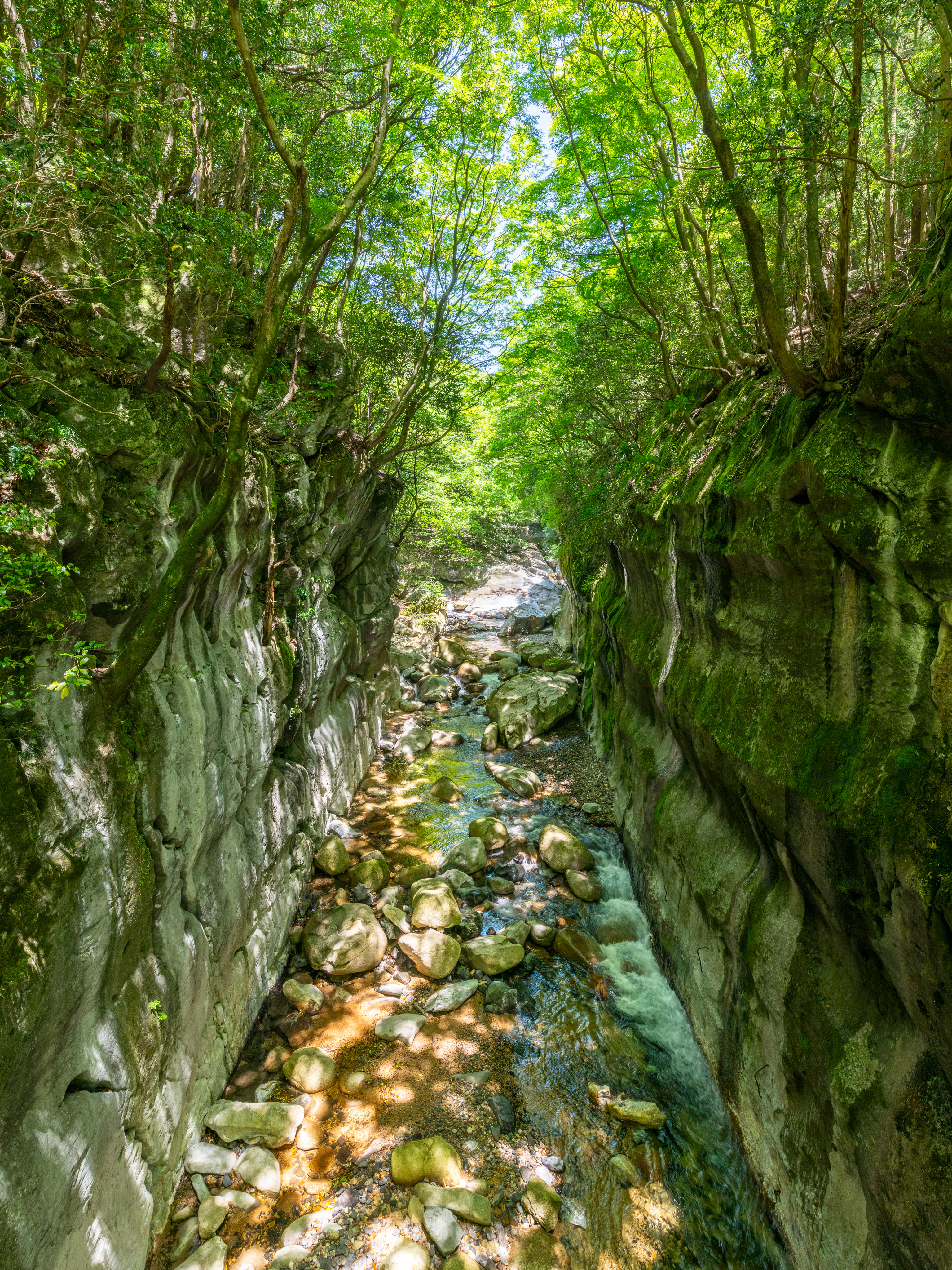 風景写真3